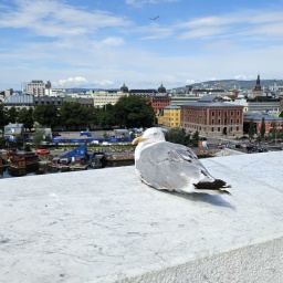 nordkap rundreise 2025_83